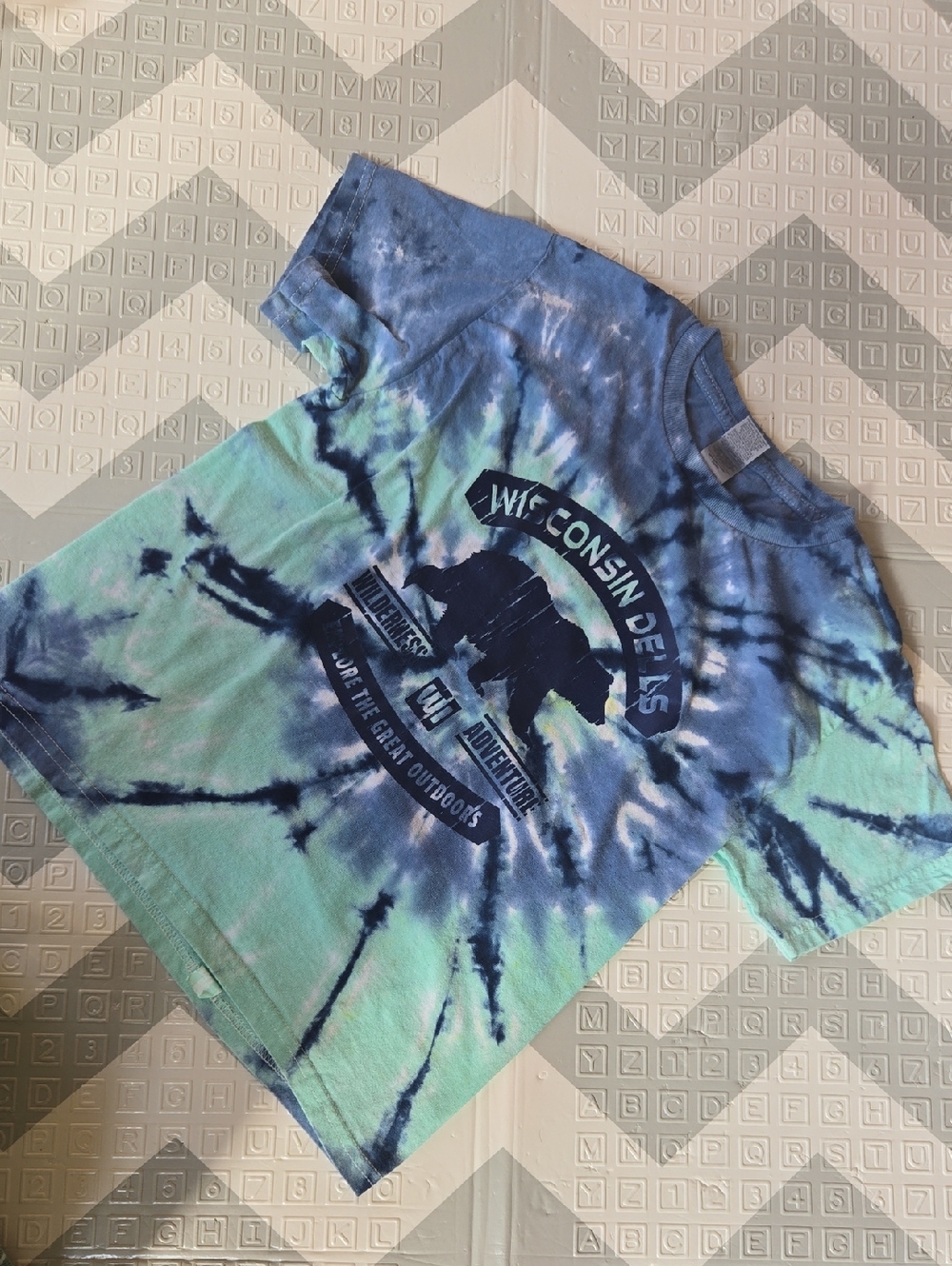 Kids Tie-Dye Bear Graphic Tee in Blue & Green
